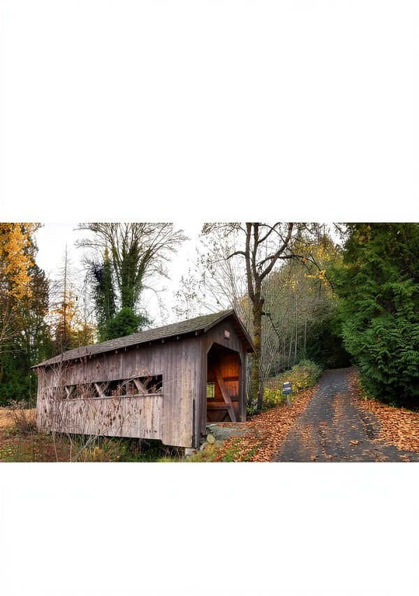 Washington Travel Guide Kindle Edition 2024 Enhanced Typesetting-0